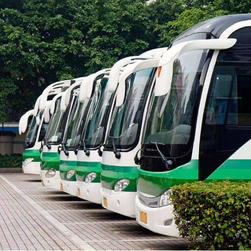 Image shows 6 green and white coaches parked in a row 