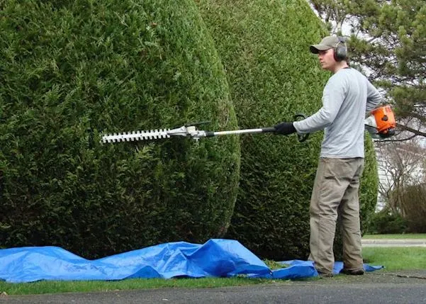 Landscaper trimming a hedge